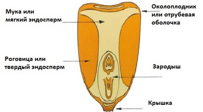 Разработка, проектирование технологических циклов