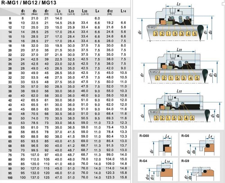 Mechanical seal R-MG1 60, SIC/SIC, VITON, 304, G60 | BTS