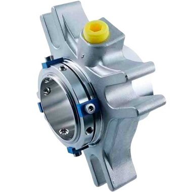 Junta de cartucho R-CARTEX(SN) 53, CAR/SIC, VITON, 304 &mdash; BTS Engineering