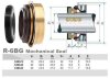 Механічне ущільнення для мотопомпи R-6BG 20, SIC/SIC, NBR, 304 фото 2 &mdash; BTS Engineering