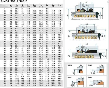 Торцевое уплотнение вала R-MG12 19, SIC/SIC, VITON, 304, G60 — BTS Engineering