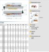 Shaft seal R-125 30, TC/TC, VITON, 304, T20LF фото 5 — BTS Engineering
