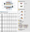 Uszczelnienie mechaniczne do pomp R-M3N 55, SIC/SIC, EPDM, 304, G9 фото 3 — BTS Engineering