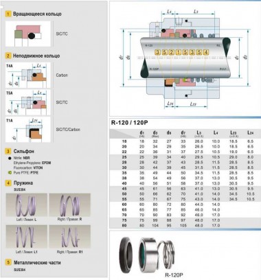 Joints de pompe R-120P 28, SIC/SIC, VITON, 304 — BTS Engineering
