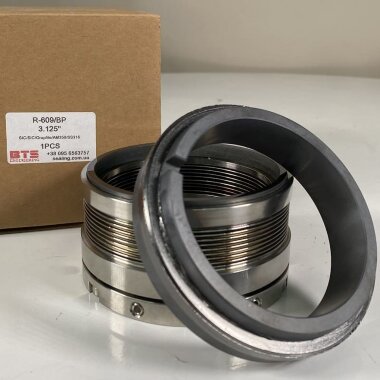 Hochtemperatur-Gleitringdichtung  R-609 2.1/8, SIC/SIC, GRAFOIL, AM350/316 — BTS Engineering