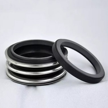 Gleitringdichtung STERLING SMG1 — BTS Engineering