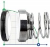 Uszczelnienie pompy R-101 25, CЕR/CAR, VITON, 304 фото 1 — BTS Engineering