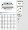 Joint d'arbre R-125 22, SIC/SIC, VITON, 316, T20LF фото 2 — BTS Engineering