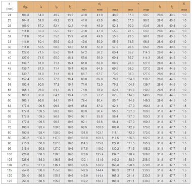 Картриджное уплотнение R-CSM 100, SIC/SIC, VITON, 304 — BTS Engineering