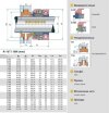 Уплотнение вала R-10T 1, CAR/SIC, PTFE, 304, V фото 2 — BTS Engineering