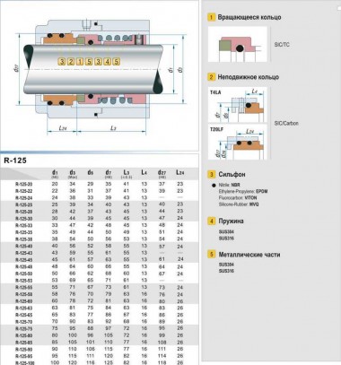 Shaft seal R-125 33, SIC/SIC, VITON, 316, T20LF — BTS Engineering