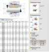 Mechanical seal R-M3N 35, CAR/SIC, EPDM, 304, G9 фото 2 — BTS Engineering