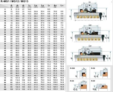 Уплотнение вала к насосу R-MG1 95, SIC/SIC, EPDM, 304, G60 &mdash; BTS Engineering