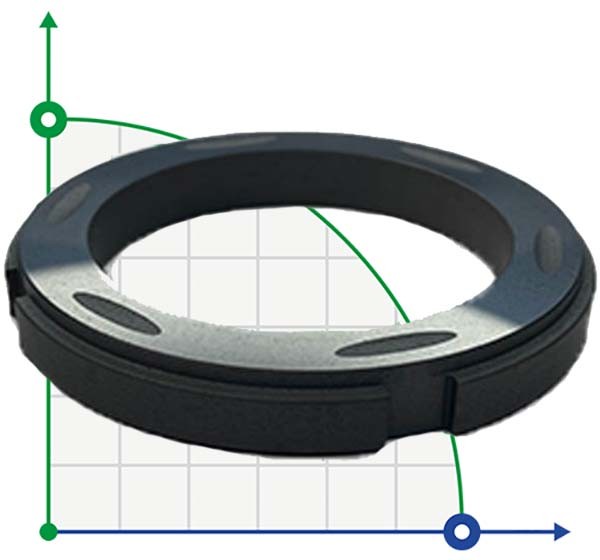 Statorring Worthington ERP 50 x 315 Sic-C-Si фото 1 — BTS Engineering