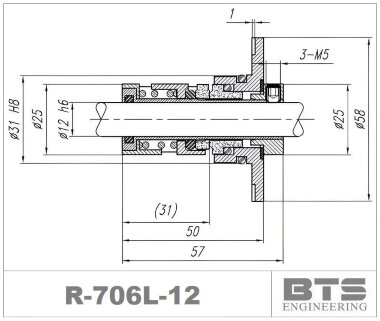 Joint à cartouche pour pompe Europump, Waterstry R-706L 12, SiC/SiC, Viton, 304 &mdash; BTS Engineering