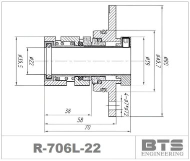 Joint à cartouche pour pompes SACI, escaliers R-706L 22, SiC/SiC, VITON, 304 &mdash; BTS Engineering