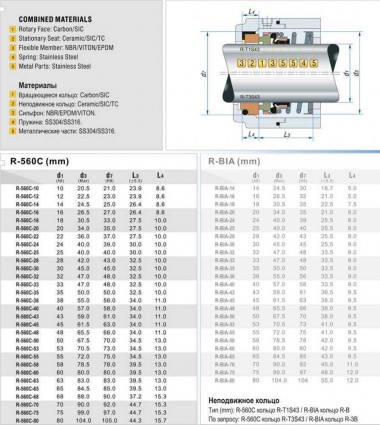 Gleitringdichtung R-560C 80, CAR/SIC, EPDM, 304, T1S43 — BTS Engineering