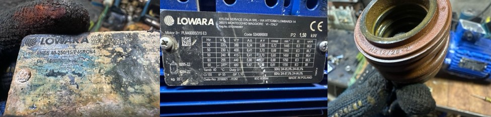 Замена механического уплотнения Lowara LNES